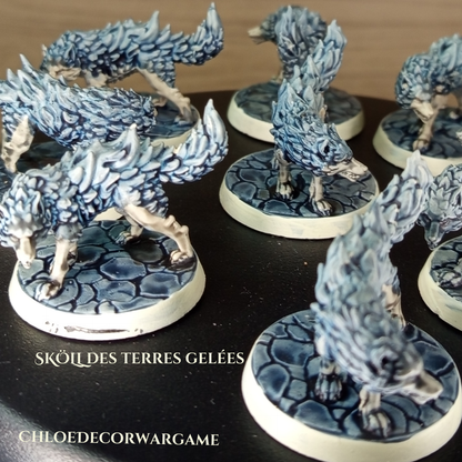 SKÖLL, des terres gelées