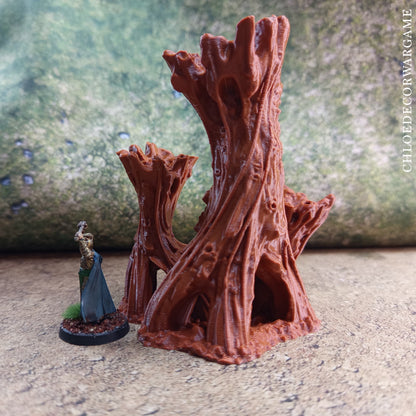 Arbre géant noueux