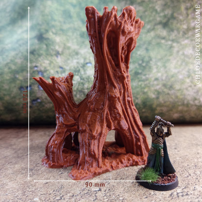 Arbre géant noueux