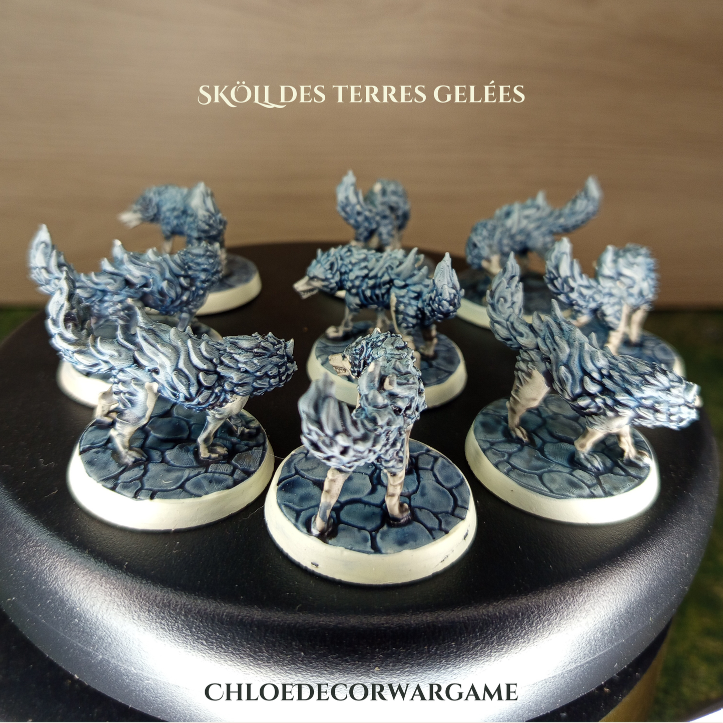 SKÖLL, des terres gelées