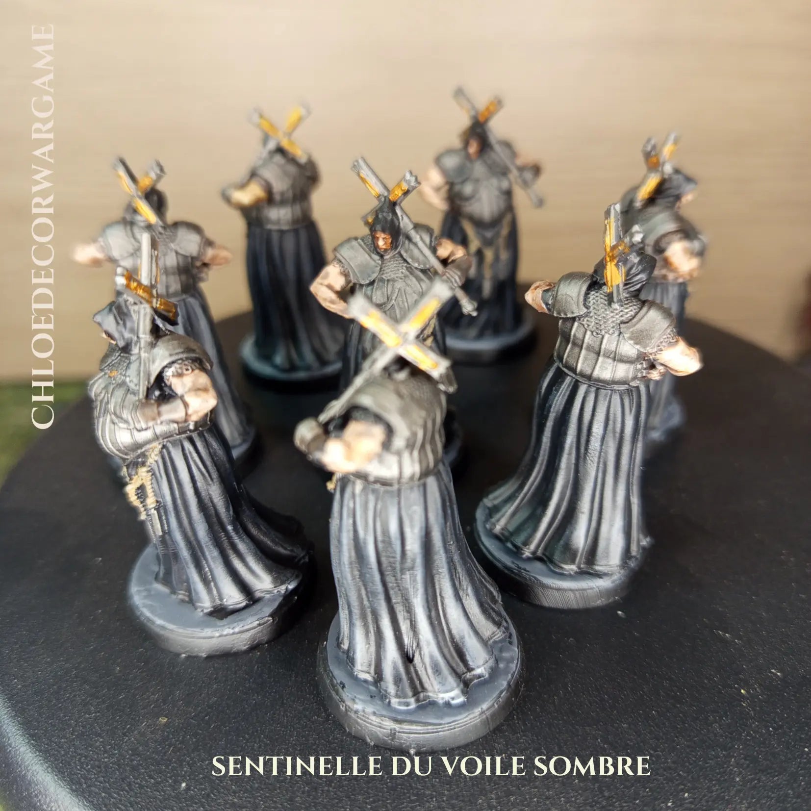 SENTINELLE DU VOILE SOMBRE ChloeDecorWargame