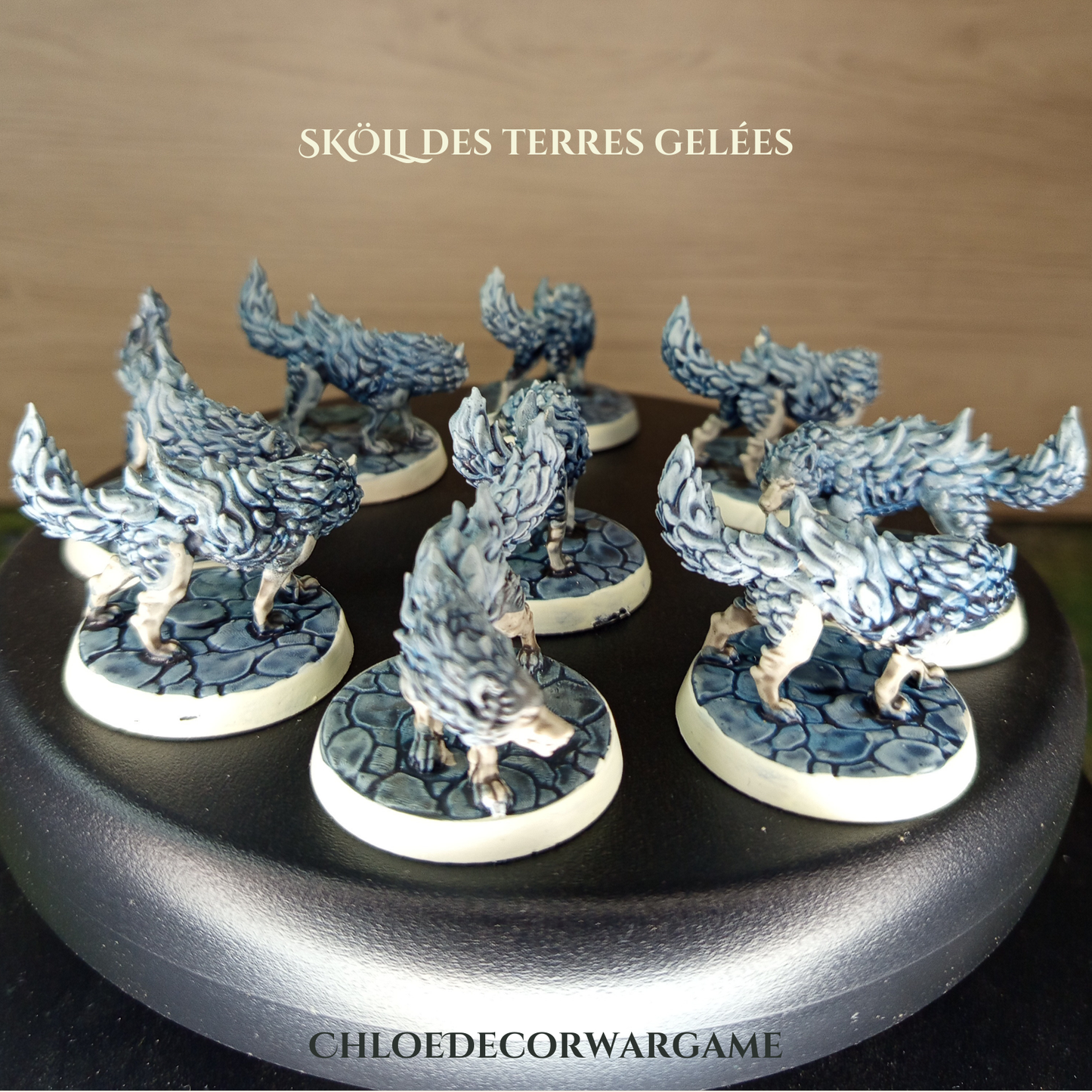 SKÖLL, des terres gelées