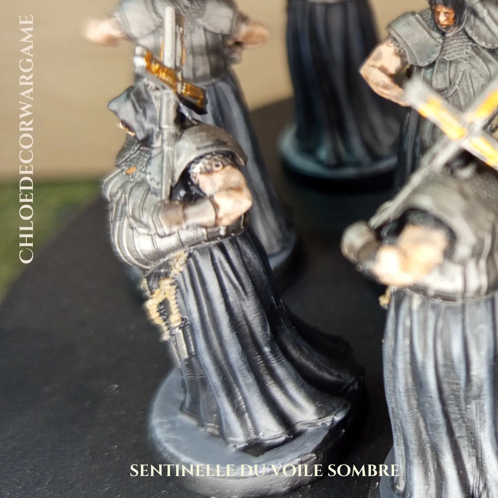 SENTINELLE DU VOILE SOMBRE ChloeDecorWargame