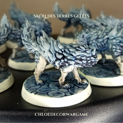 SKÖLL, des terres gelées