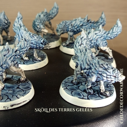 SKÖLL, des terres gelées