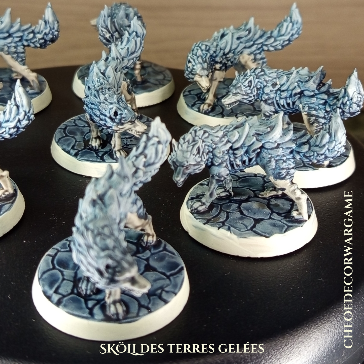 SKÖLL, des terres gelées